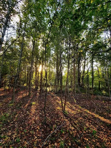 a view of outdoor space with lots of trees