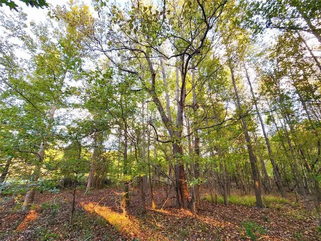 a backyard of a house with a trees