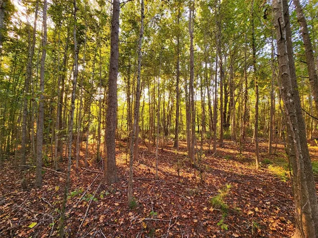 a view of outdoor space with deck and tree
