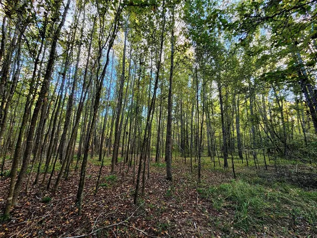 a view of outdoor space and green space