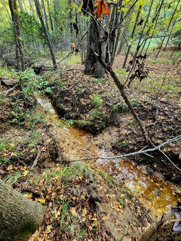 a view of a tree with a yard