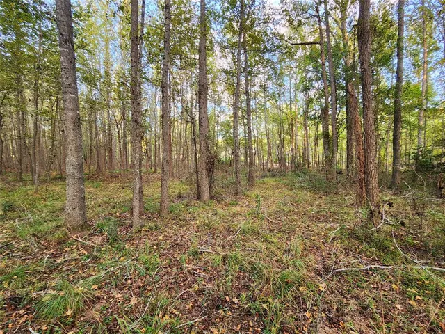 a view of a yard with trees in the background