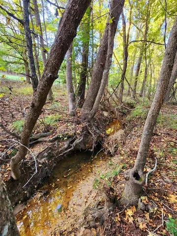 a view of a tree in a yard