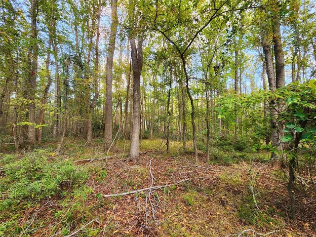 a view of an outdoor space