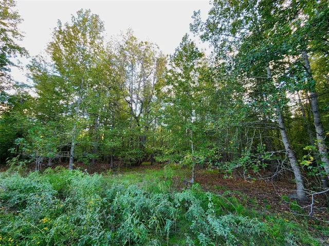 a view of outdoor space and yard
