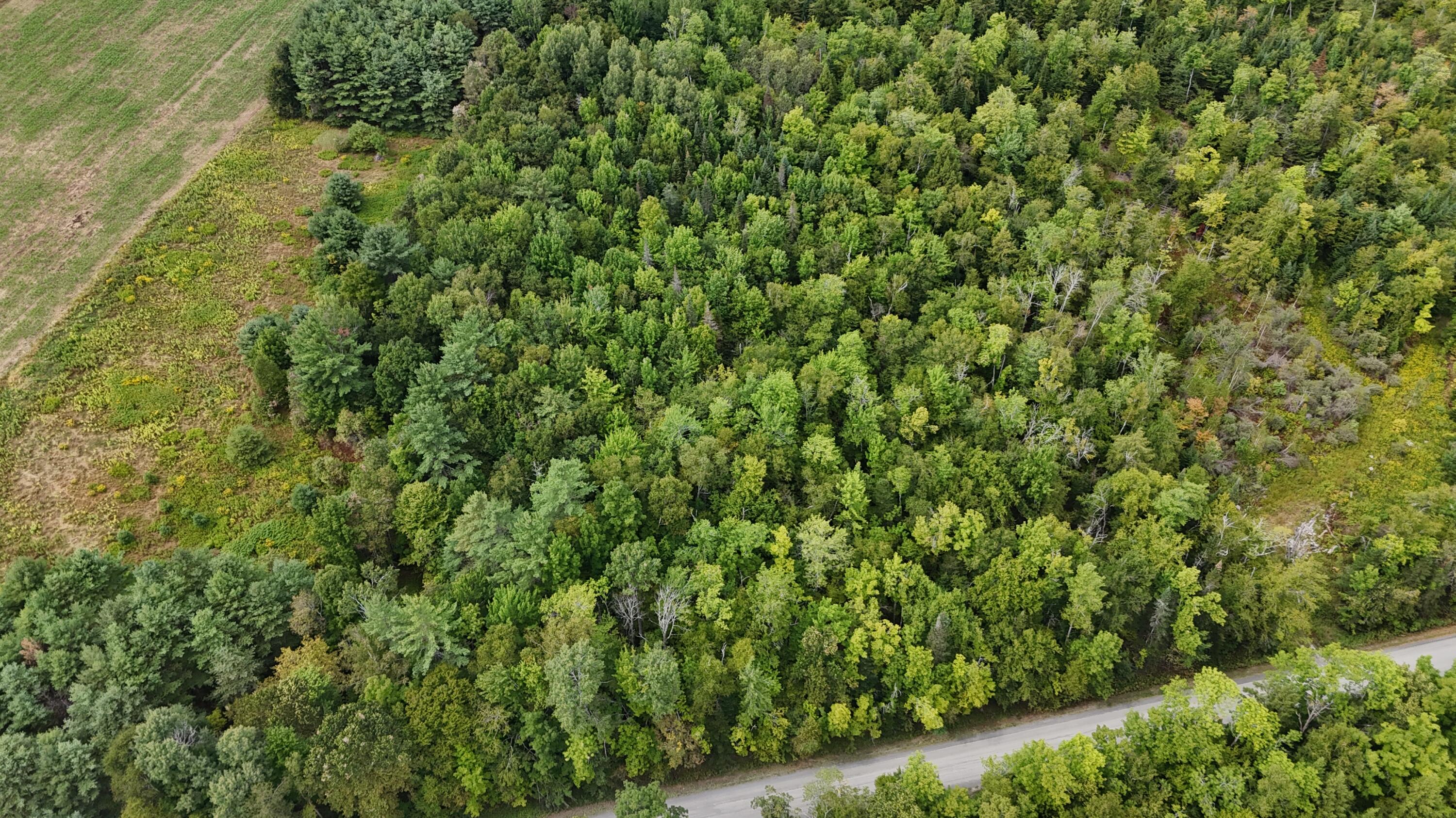 Tbd Ballard Road St. Albans, ME 04971 - Photo 1 of 6 DJI_20250821025556_0177_D