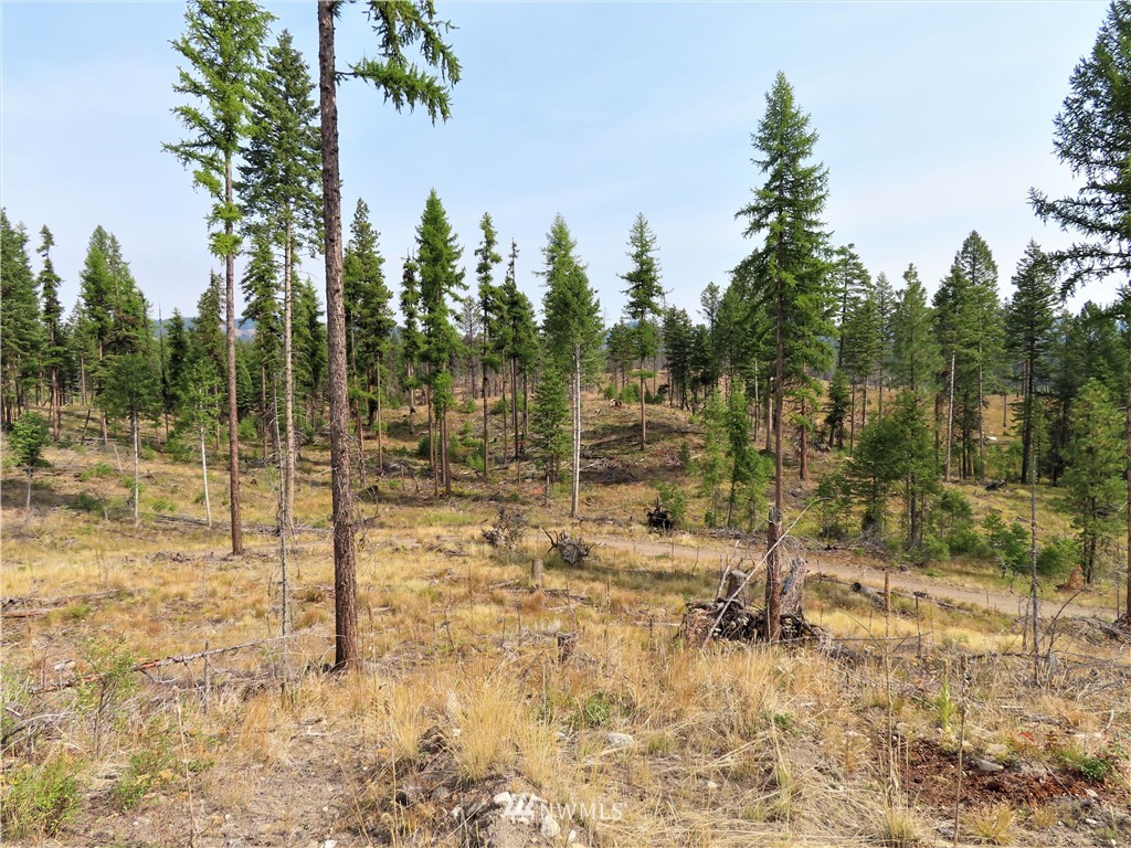 9 Roy Road Republic, WA 99166 - Photo 1 of 14 a view of empty room with trees