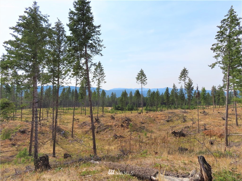9 Roy Road Republic, WA 99166 - Photo 14 of 14 a view of a lake with a yard