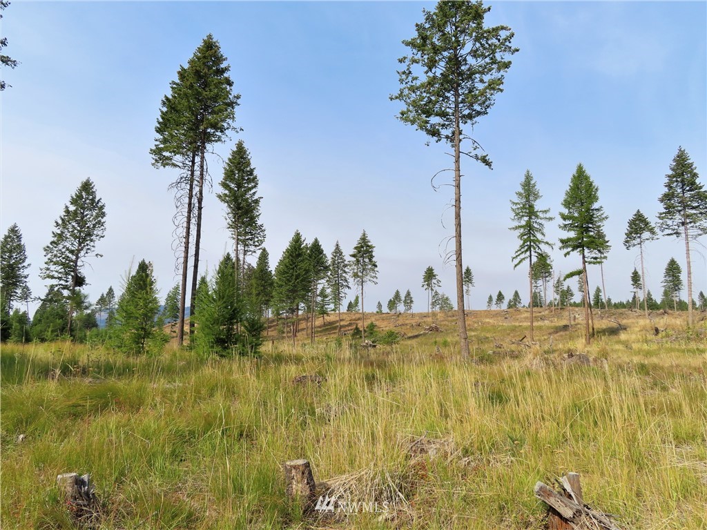 9 Roy Road Republic, WA 99166 - Photo 6 of 14 a view of a lake with a big yard
