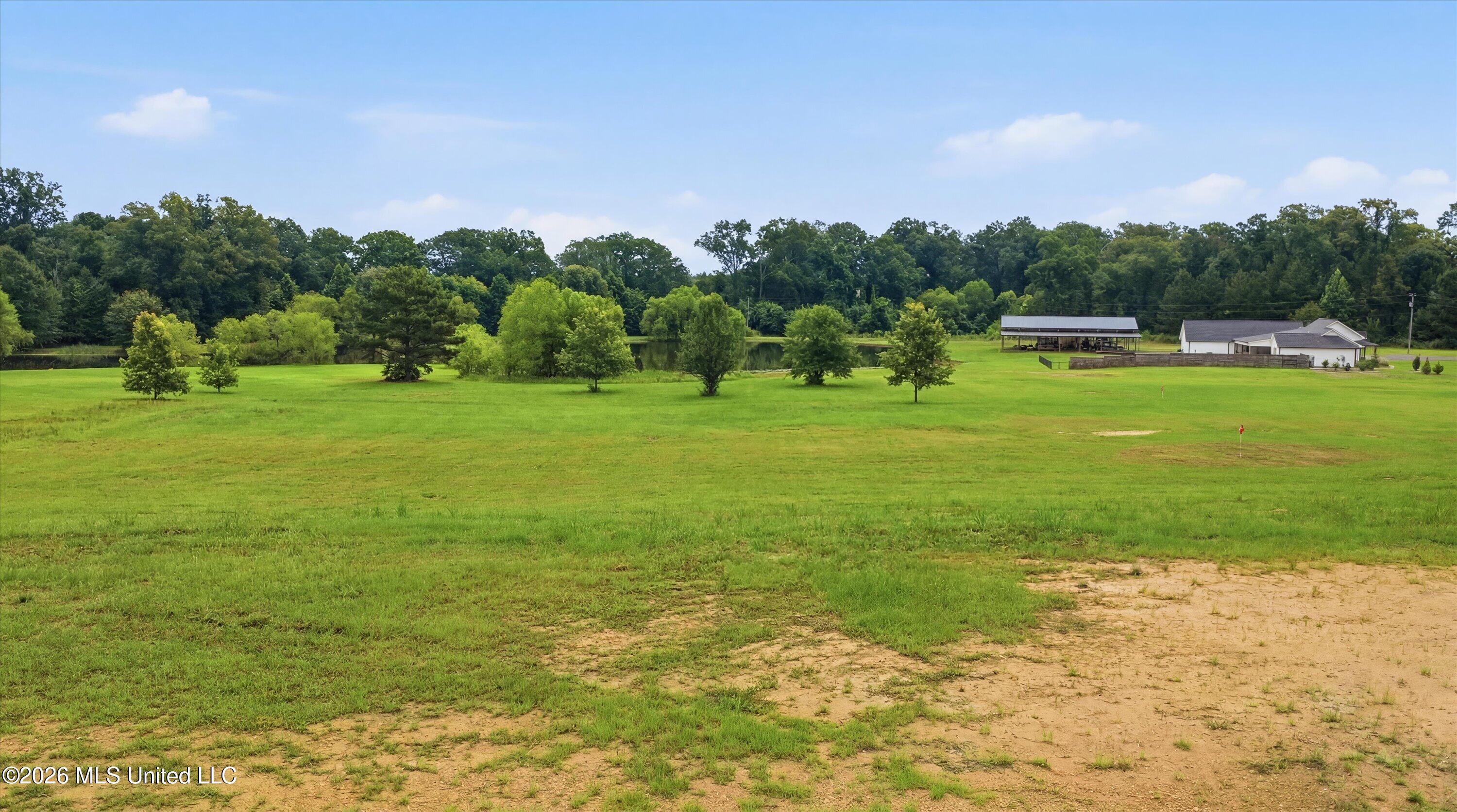 142 Iron Oak Ridge Brandon, MS 39042 - Photo 10 of 26 14-142_Iron_Oak_Ridgee_015