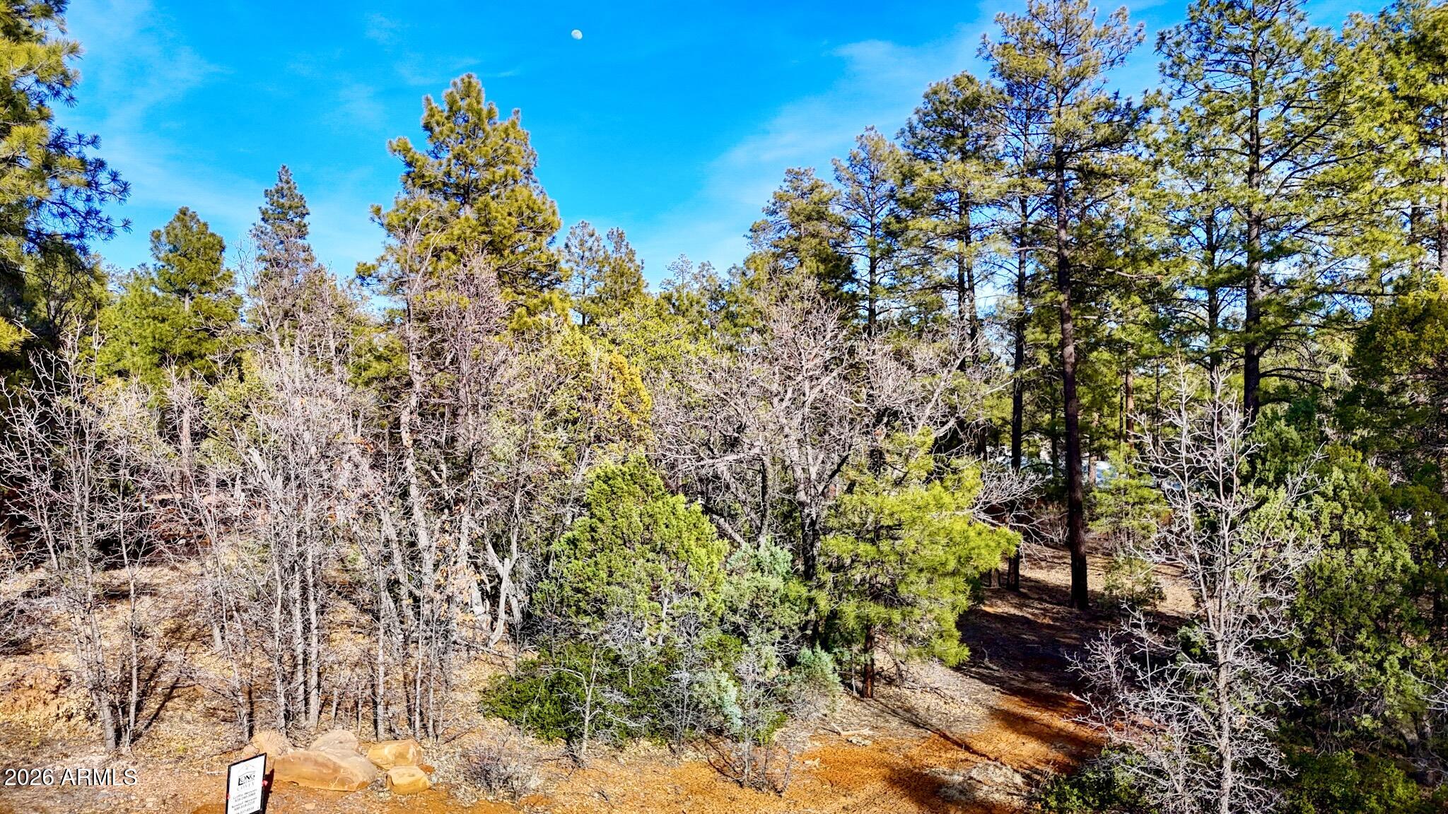 6101 Starlight Ridge Road, Unit 13 Lakeside, AZ 85929 - Photo 5 of 14 dji_fly_20260227_162016_0554_17722497719
