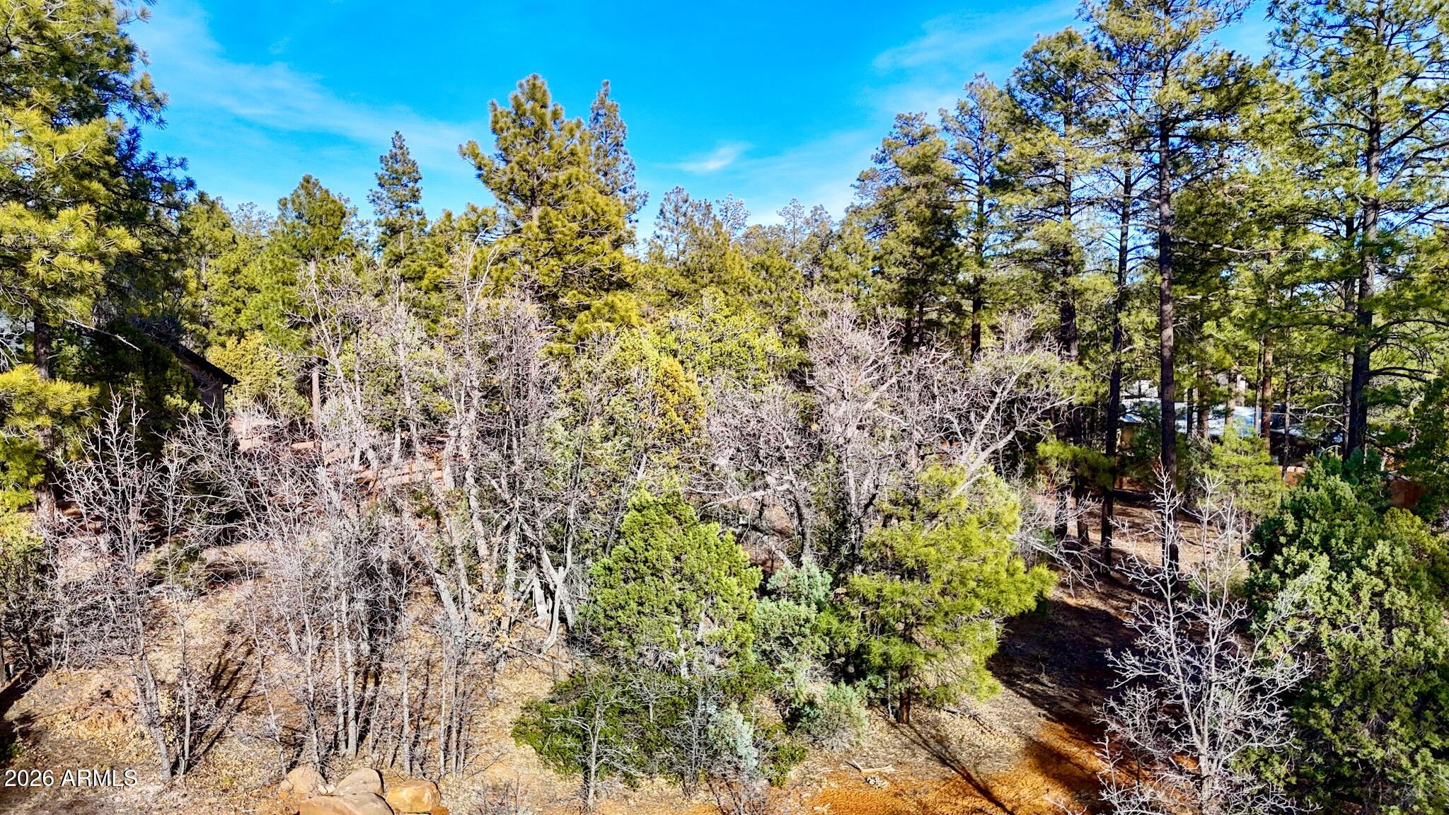6101 Starlight Ridge Road, Unit 13 Lakeside, AZ 85929 - Photo 9 of 14 dji_fly_20260227_162010_0553_17722497722