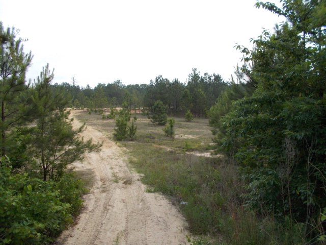 0 May Road Thomson, GA 30824 - Photo 3 of 4 Looking into Site