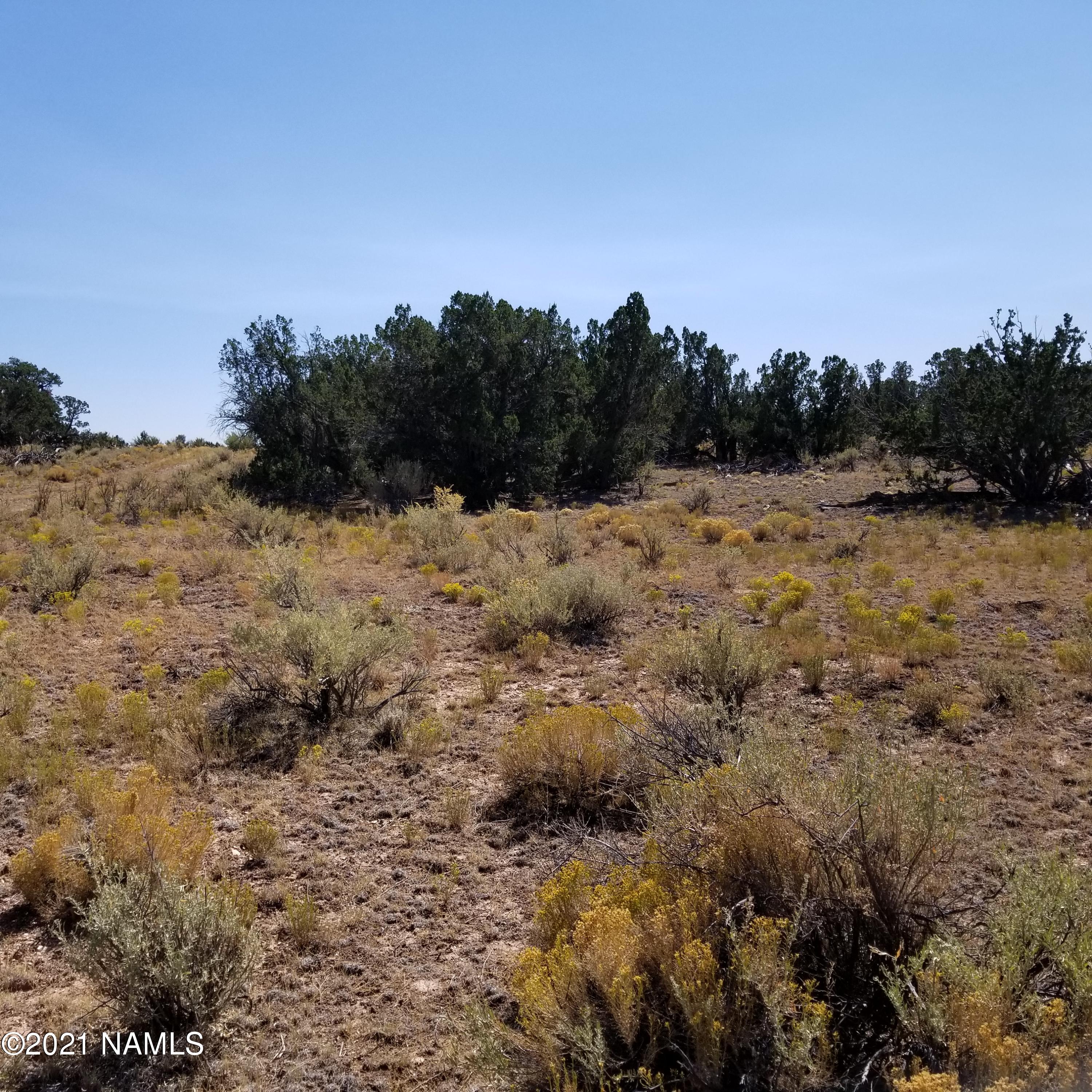 632 North Rolling Spring Road Williams, AZ 86046 - Photo 1 of 11 20200925_135654