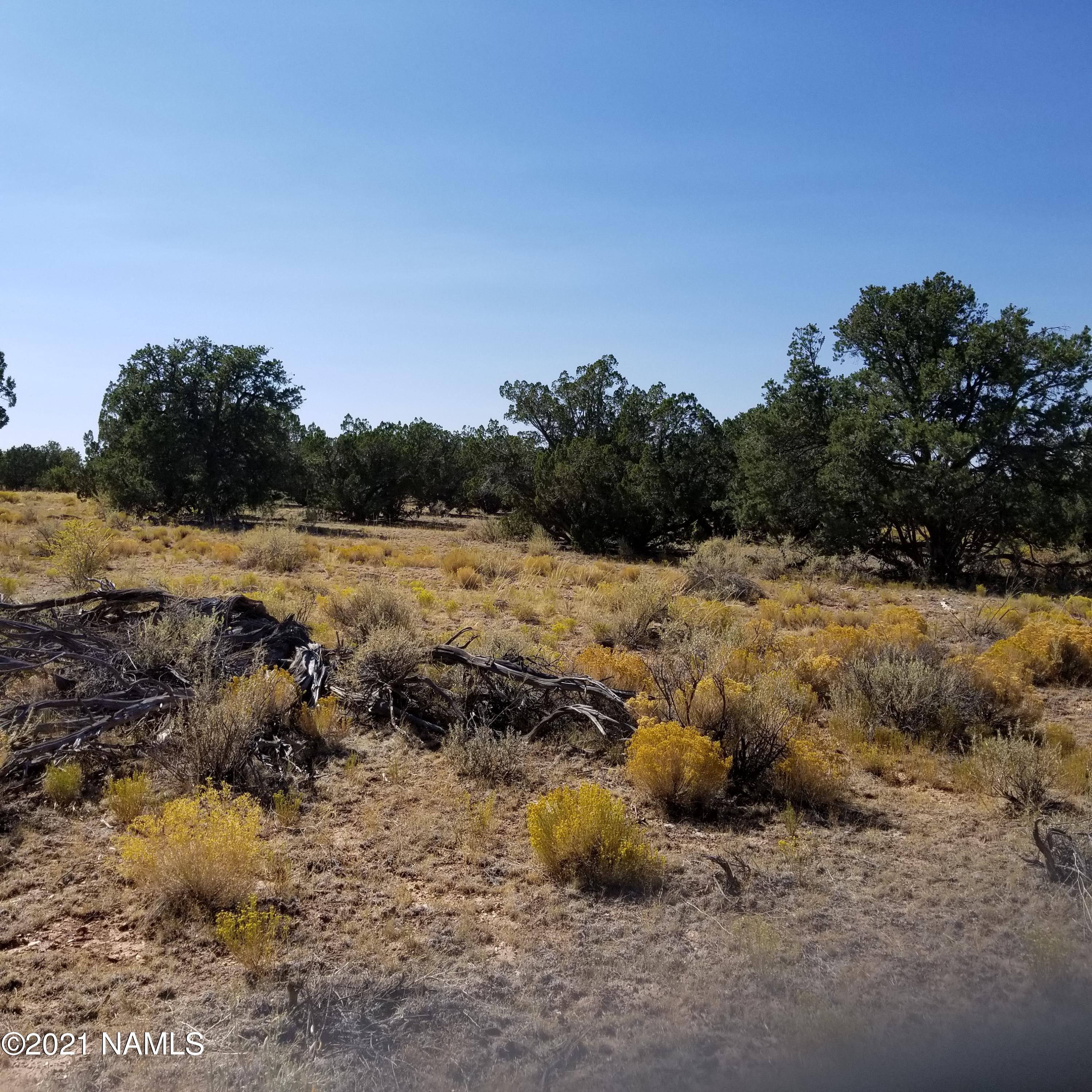 632 North Rolling Spring Road Williams, AZ 86046 - Photo 3 of 11 20200925_135727