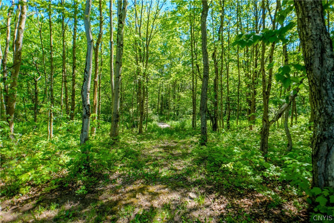 404 Old State Road Redfield, NY 13437 - Photo 30 of 42