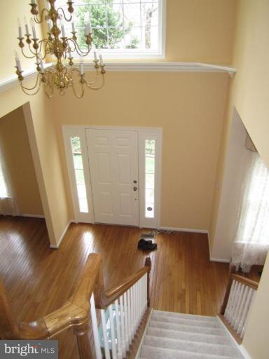 Entrance / Foyer