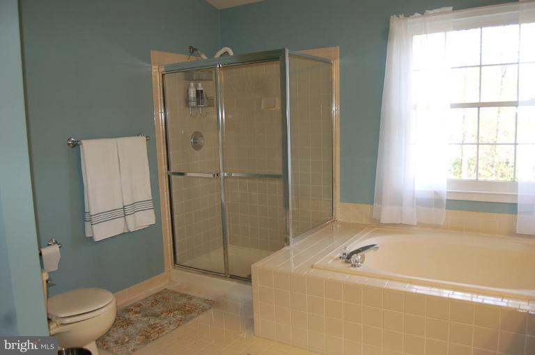 1219 Woodbrook Court Reston, VA 20194 - Photo 9 of 26 Master Bath #2