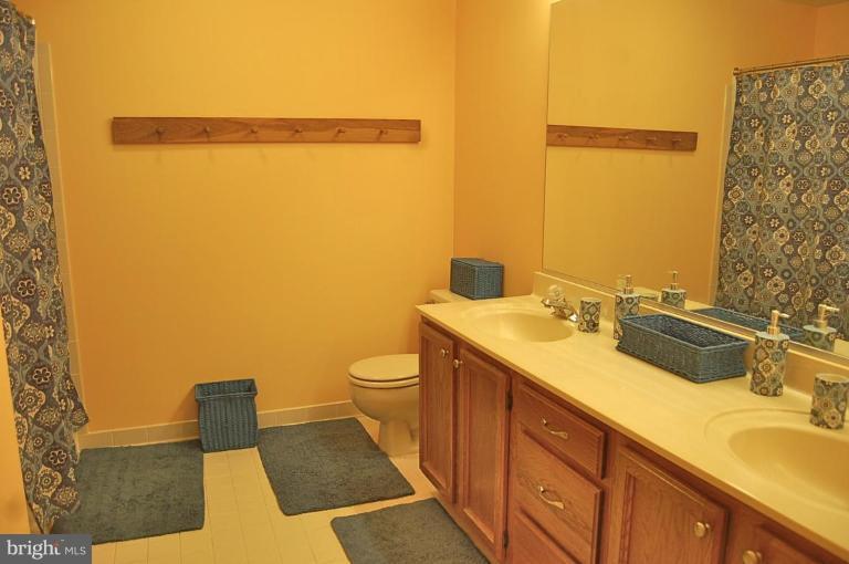 1219 Woodbrook Court Reston, VA 20194 - Photo 8 of 26 Bath #2