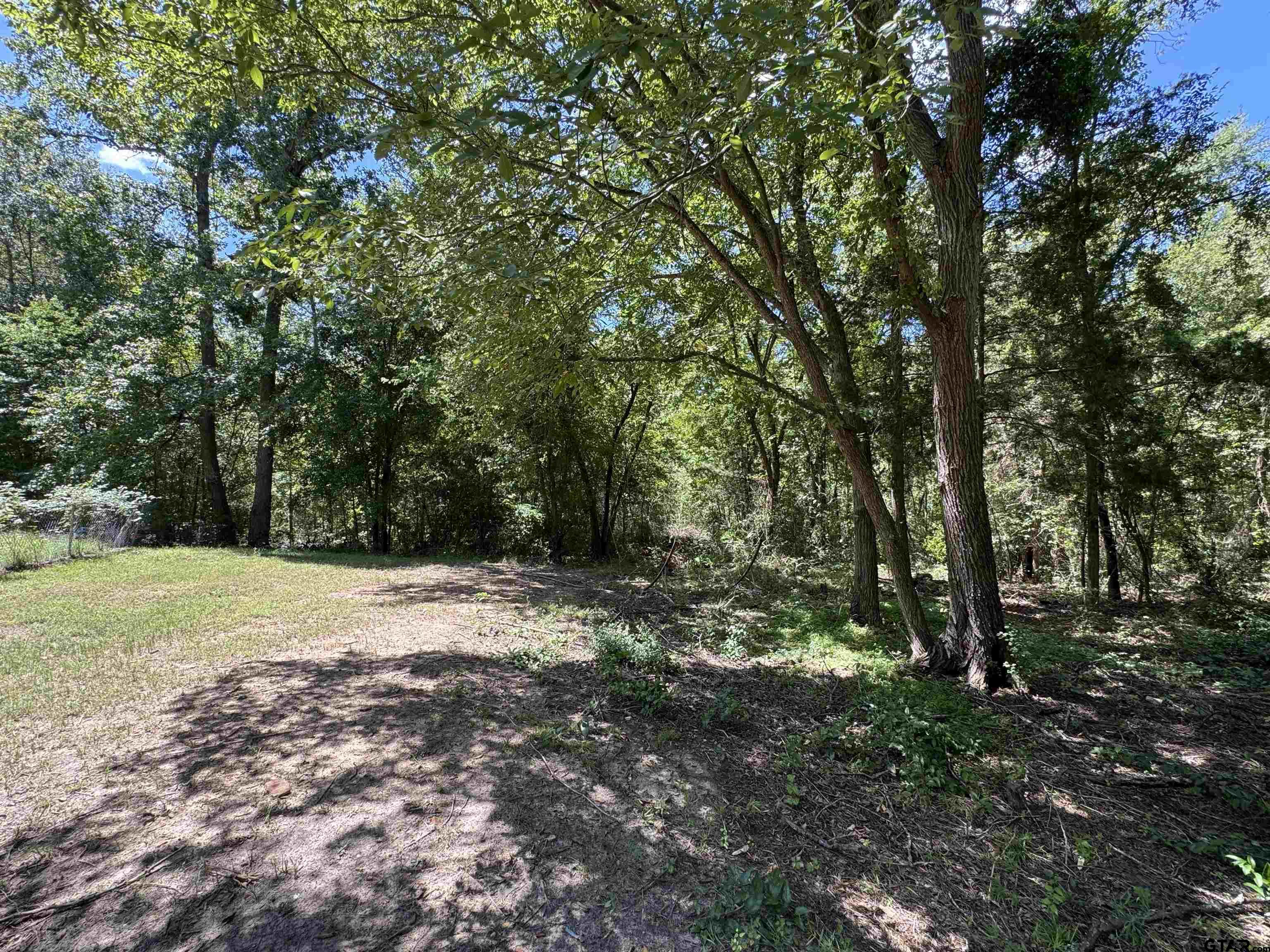 4159 Scrub Pine Road Gilmer, TX 75645 - Photo 11 of 39 a big yard with trees