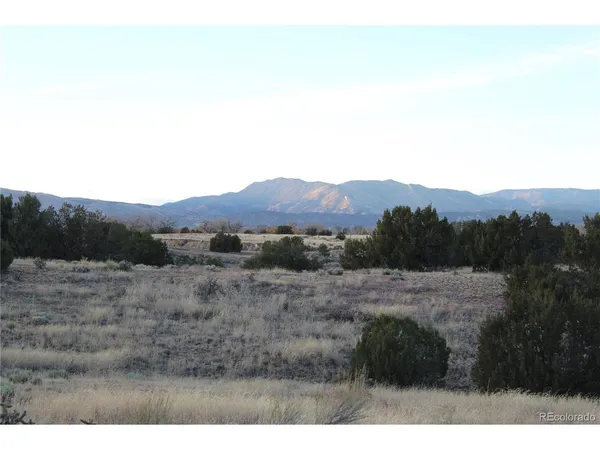 a view of a dry field