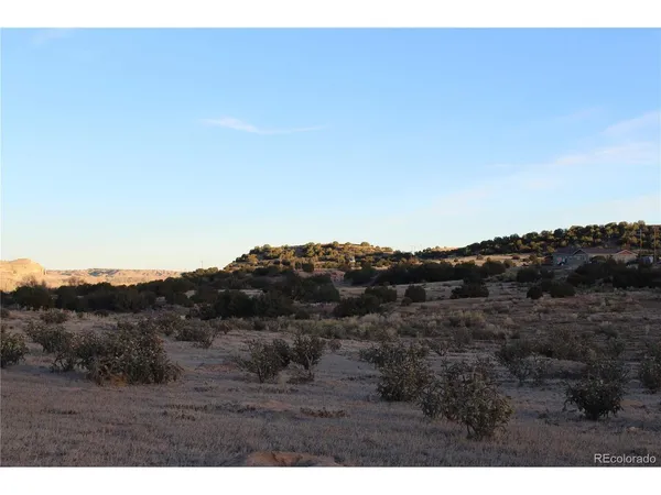 a view of a dry field