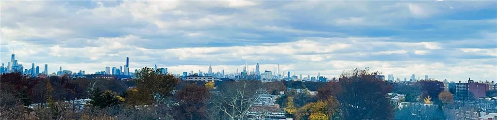 2711 Avenue X, Unit 6J Brooklyn, NY 11235 - Photo 21 of 24 a view of a city with lots of trees