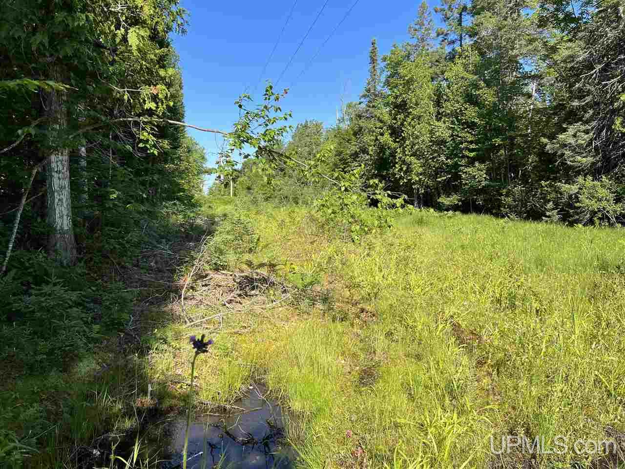 Tbd Tbd H-15 Shingleton, MI 49884 - Photo 7 of 23