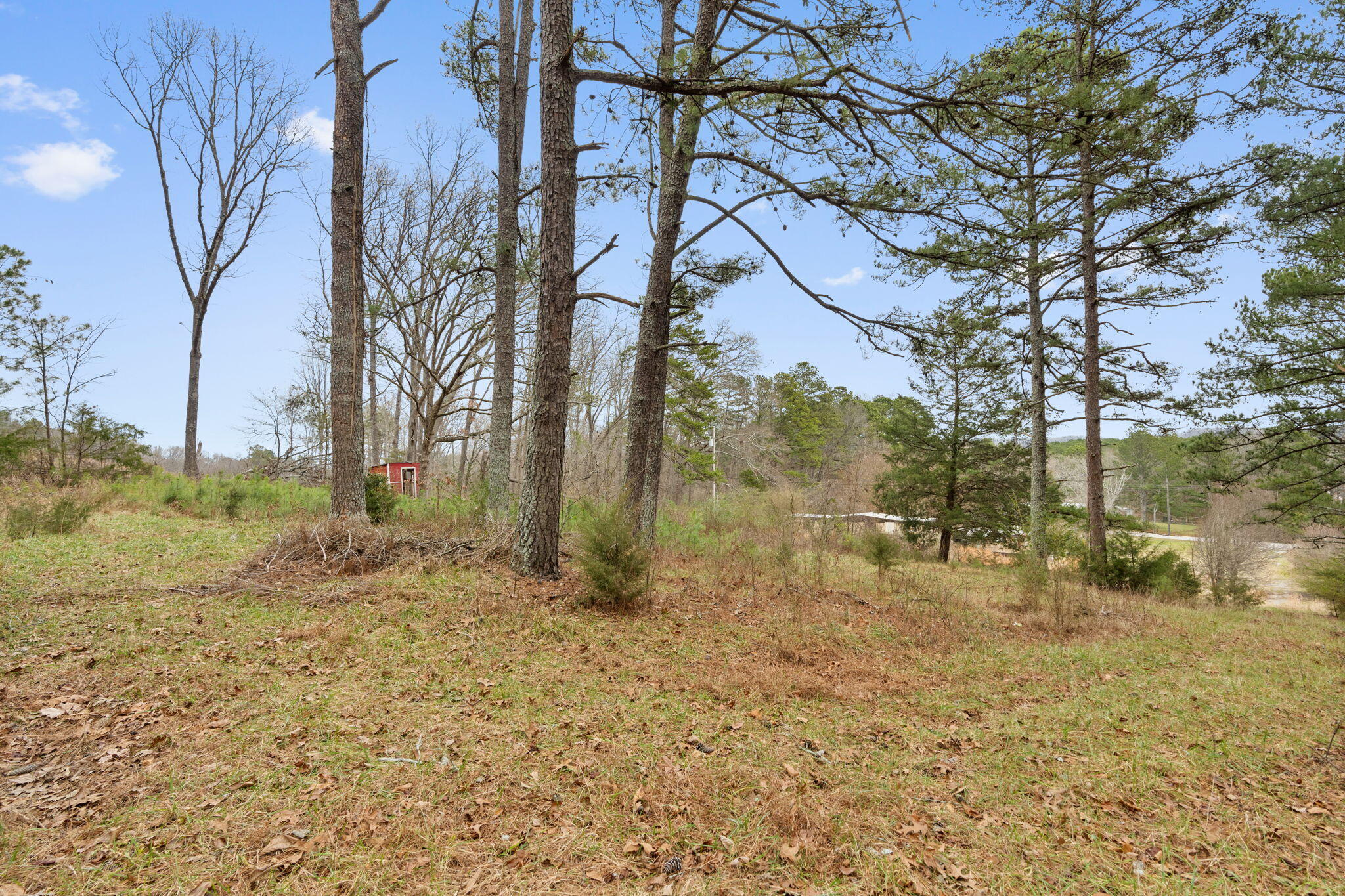 2298 Pine Grove Road Ringgold, GA 30736 - Photo 11 of 21 19-web-or-mls-HOP02926