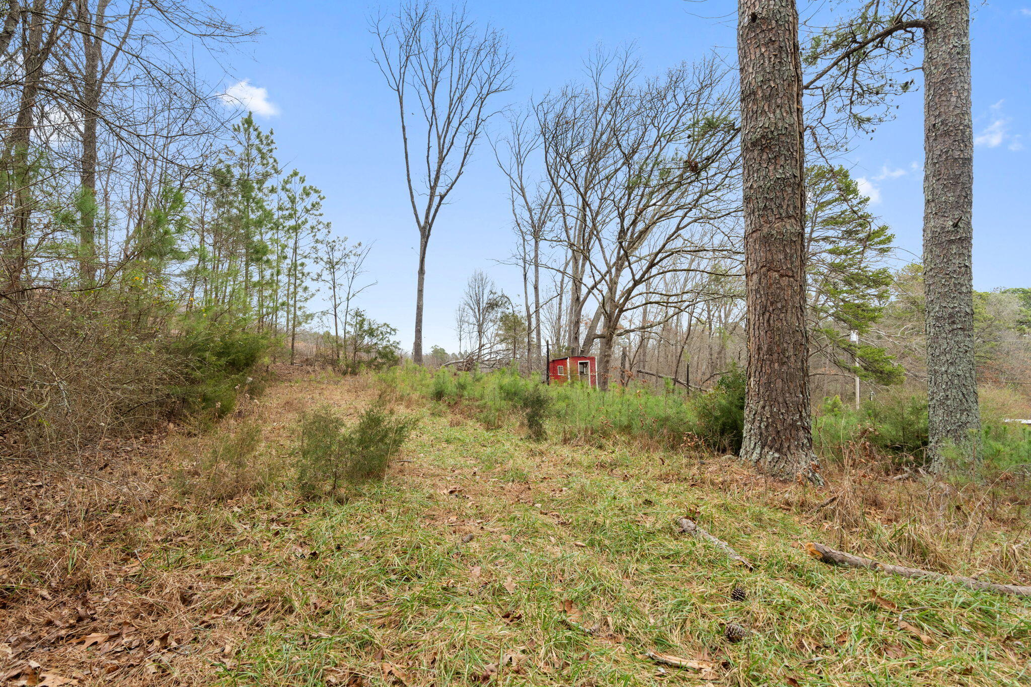 2298 Pine Grove Road Ringgold, GA 30736 - Photo 13 of 21 22-web-or-mls-HOP02931