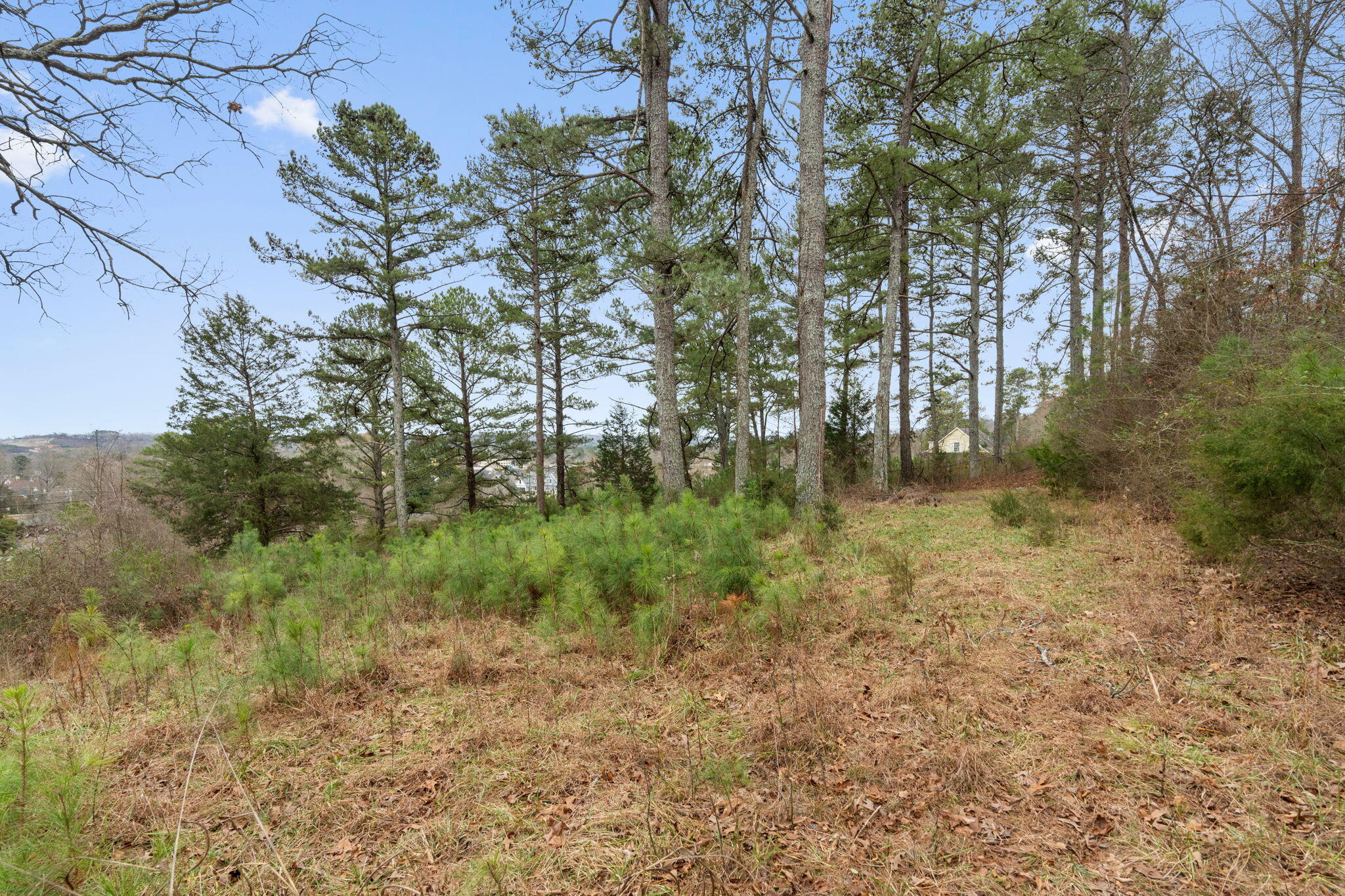2298 Pine Grove Road Ringgold, GA 30736 - Photo 14 of 21 24-web-or-mls-HOP02956