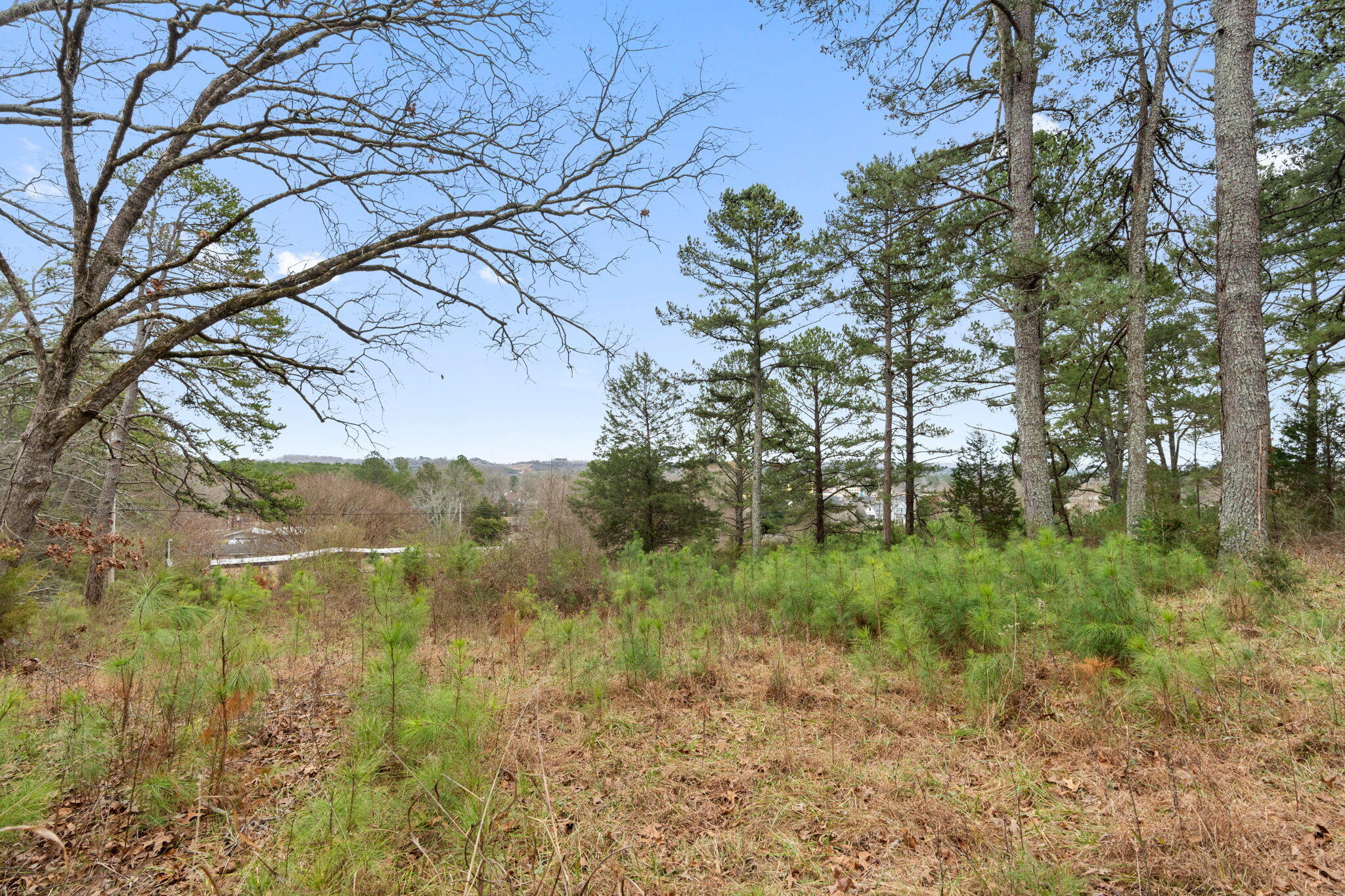 2298 Pine Grove Road Ringgold, GA 30736 - Photo 15 of 21 25-web-or-mls-HOP02951