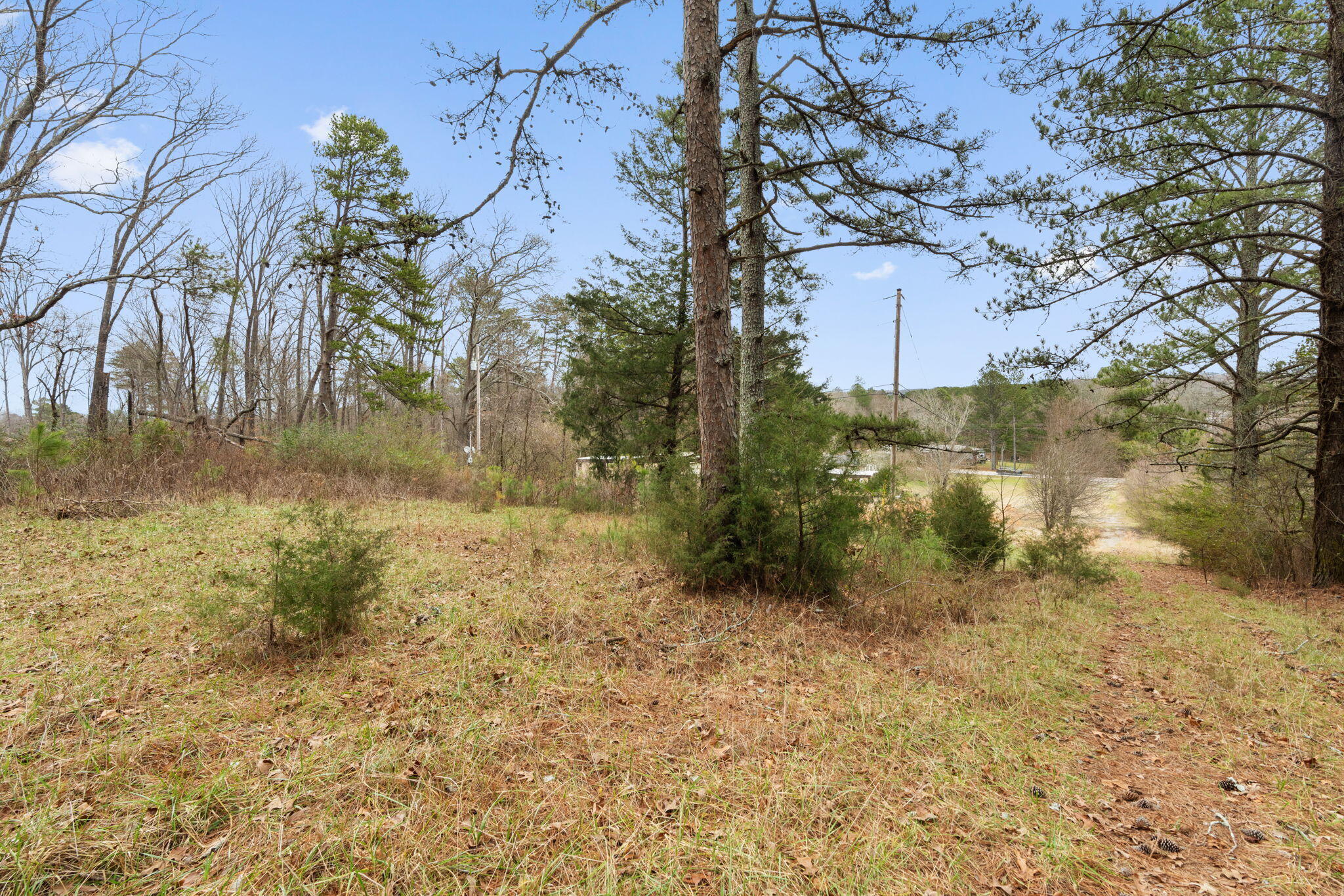 2298 Pine Grove Road Ringgold, GA 30736 - Photo 16 of 21 28-web-or-mls-HOP02966