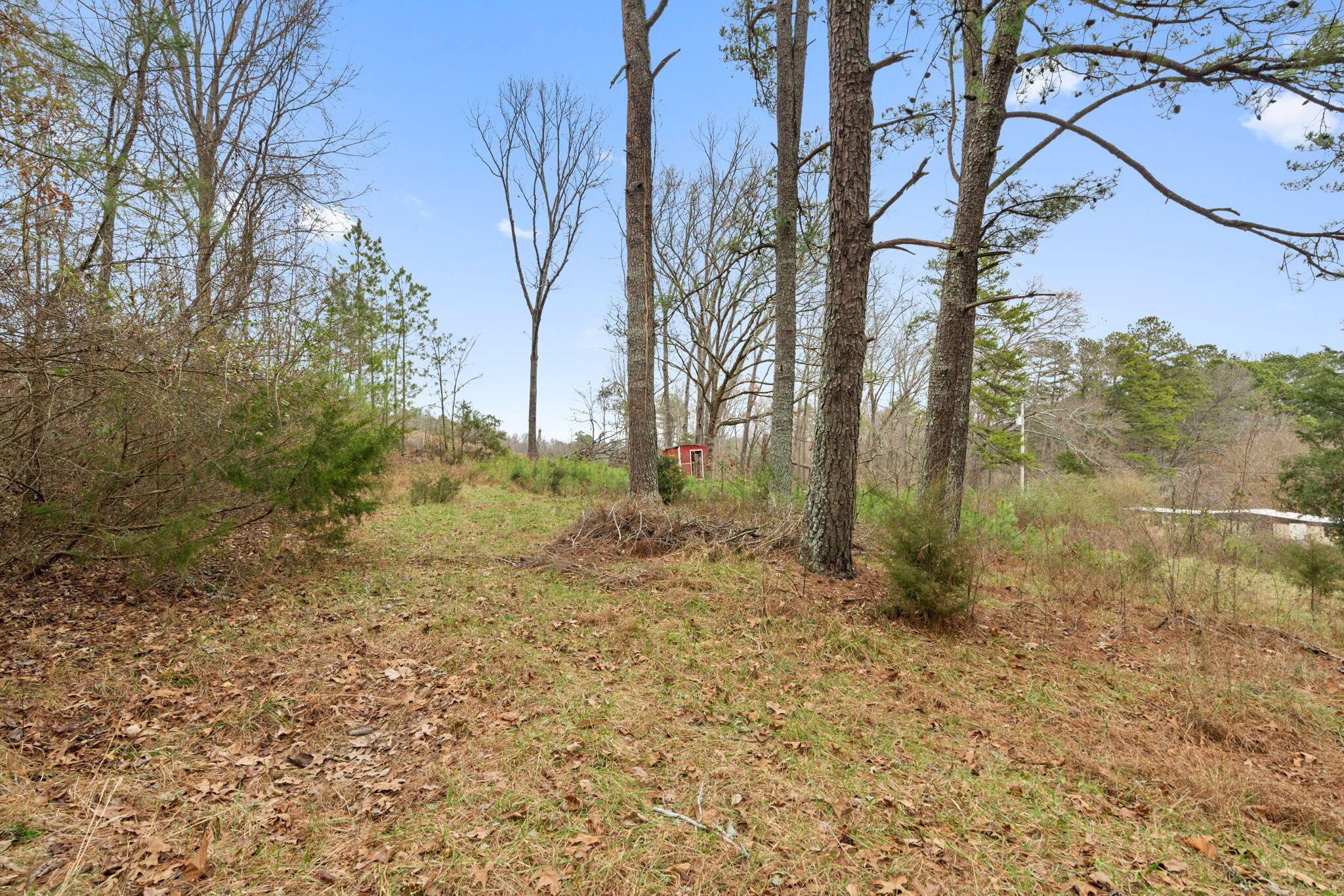 2298 Pine Grove Road Ringgold, GA 30736 - Photo 2 of 21 18-web-or-mls-HOP02921