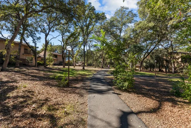 a view of backyard with green space