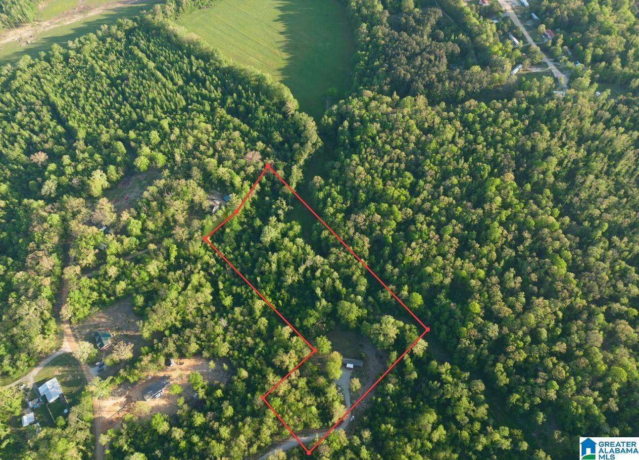 314 County Road 111 Montevallo, AL 35115 - Photo 5 of 52
