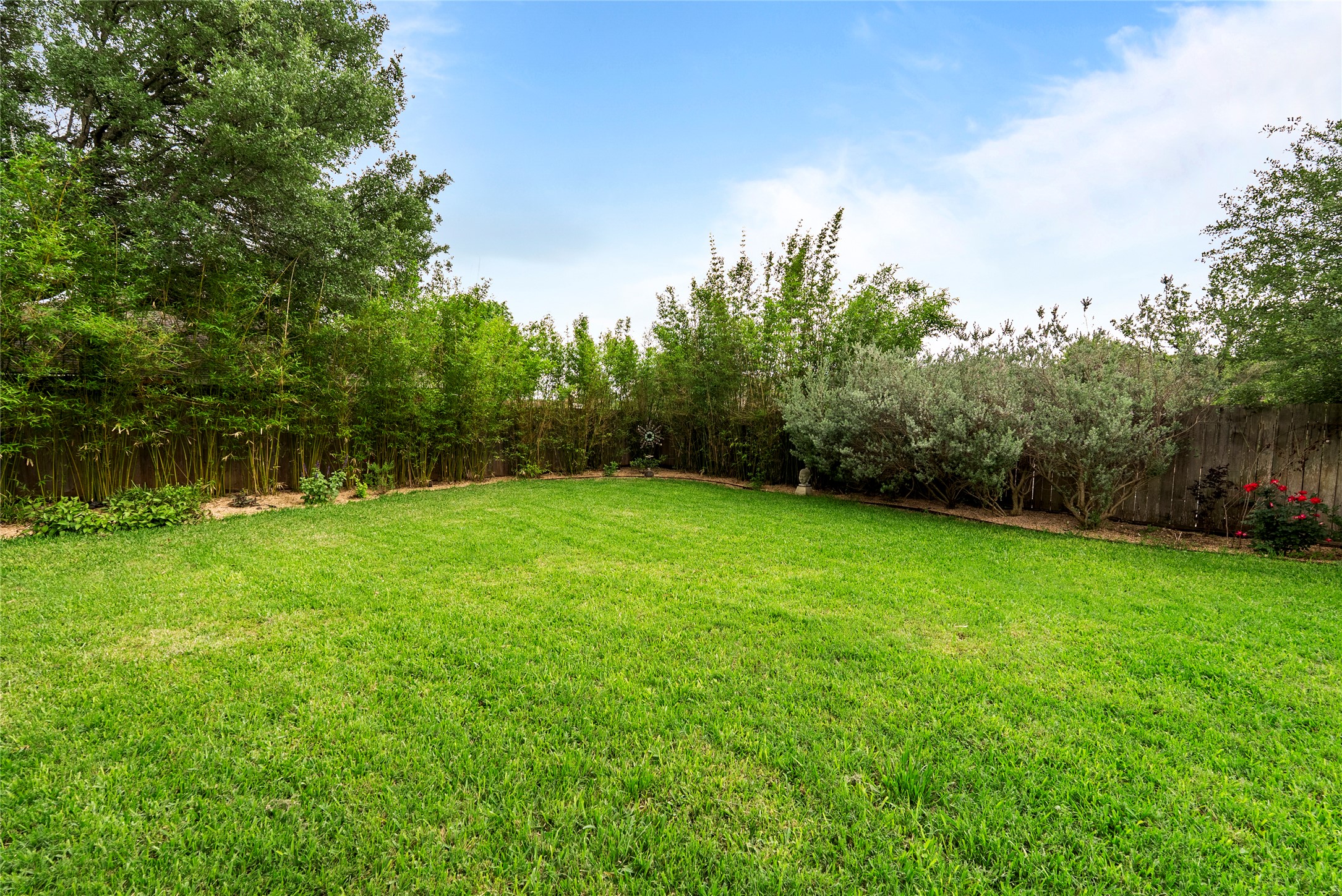 7021 Colberg Court Austin, TX 78749 - Photo 36 of 37 a view of a yard with a tree