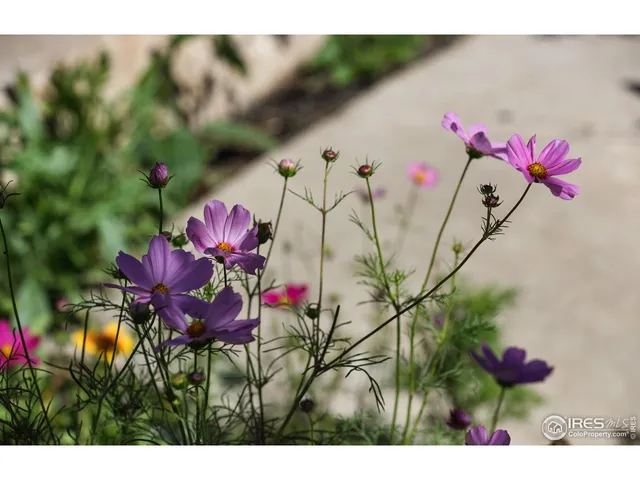 $1,475,000 | 125 Longs Peak Drive, Lyons, CO 80540