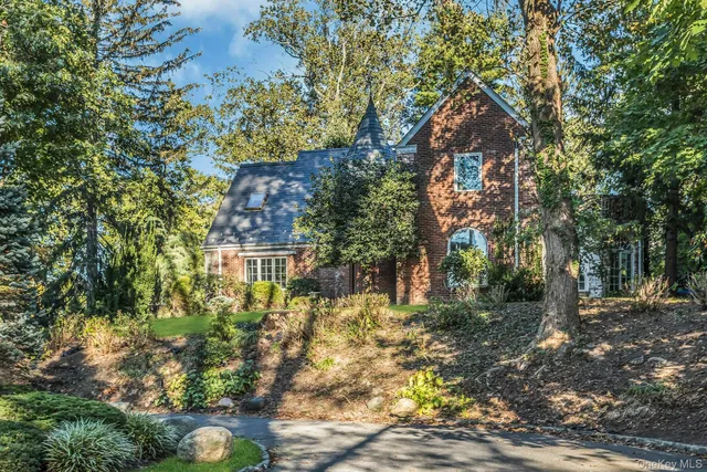 a view of a yard with plants and large trees