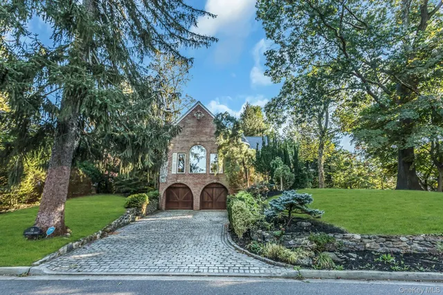 a view of a garden with plants and large trees