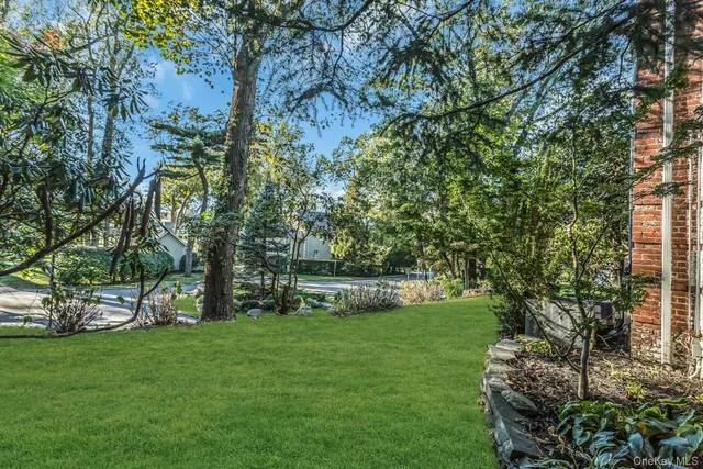 a view of a garden with a tree