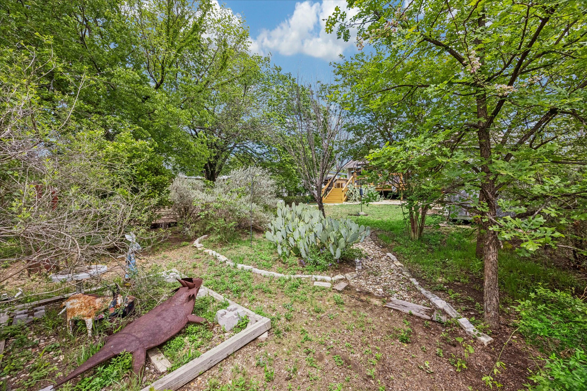 1800 Deloney Street Austin, TX 78721 - Photo 24 of 25 a view of a yard with plants and a large tree