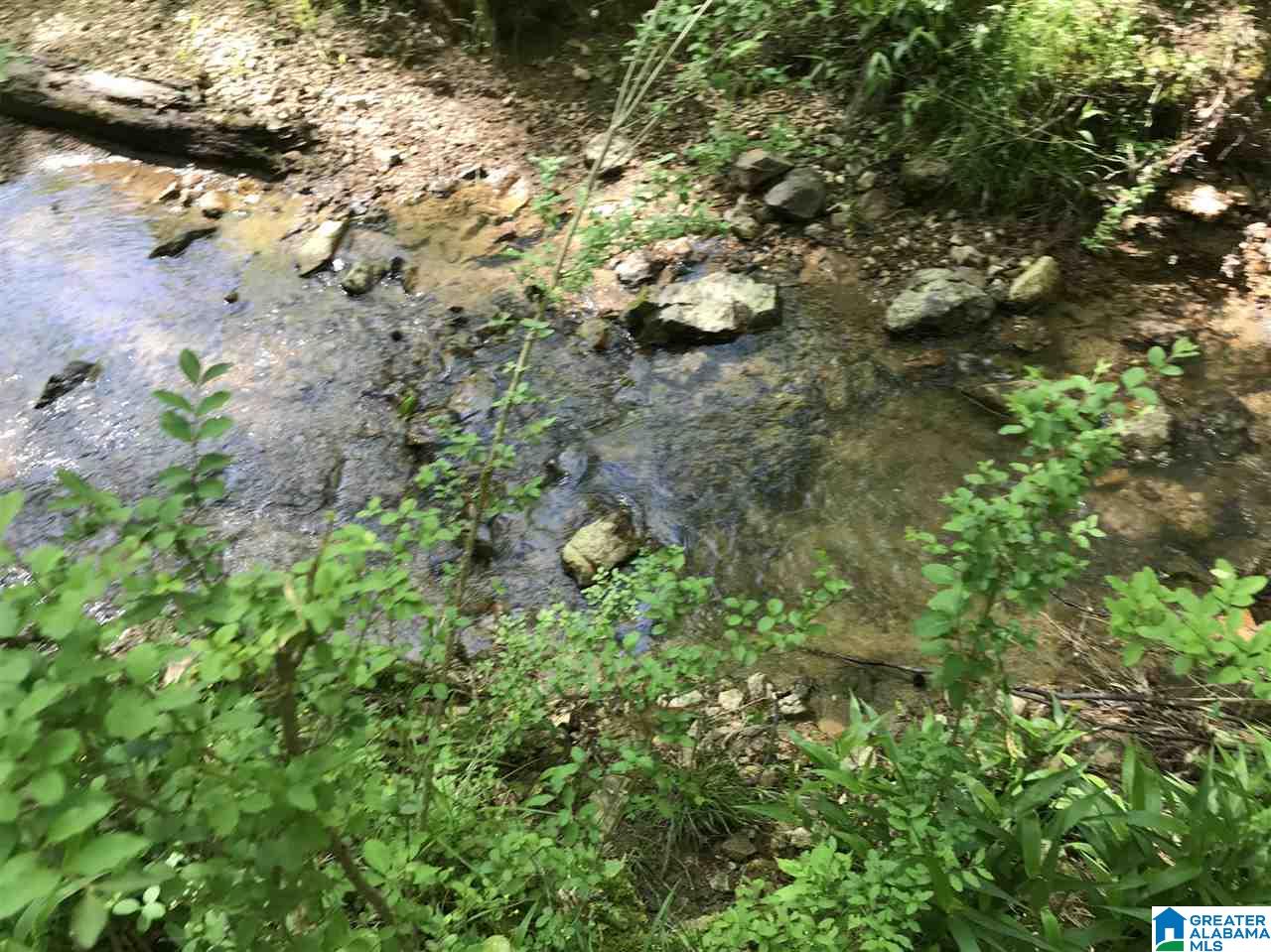 0 Acton Road, Unit 45 ACRE Moody, AL 35004 - Photo 10 of 12