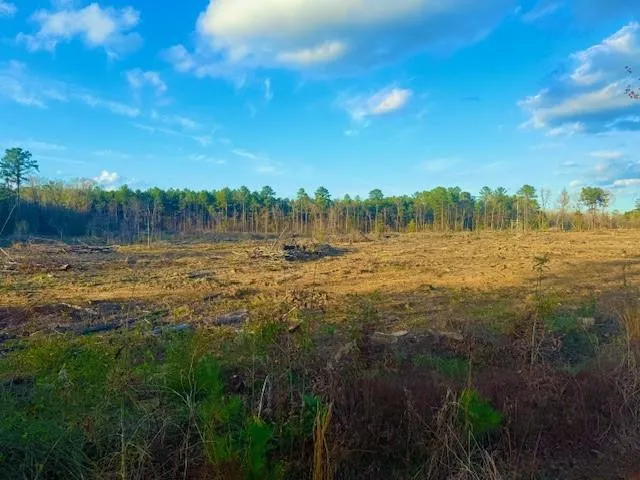 $199,500 | 0 Ian Johnson Road, Otis, LA 71466