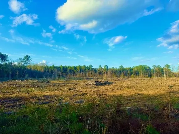 $199,500 | 0 Ian Johnson Road, Otis, LA 71466