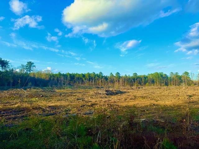 0 Ian Johnson Road Otis, LA 71466 - Photo 2 of 4