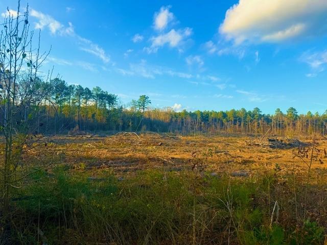 0 Ian Johnson Road Otis, LA 71466 - Photo 3 of 4