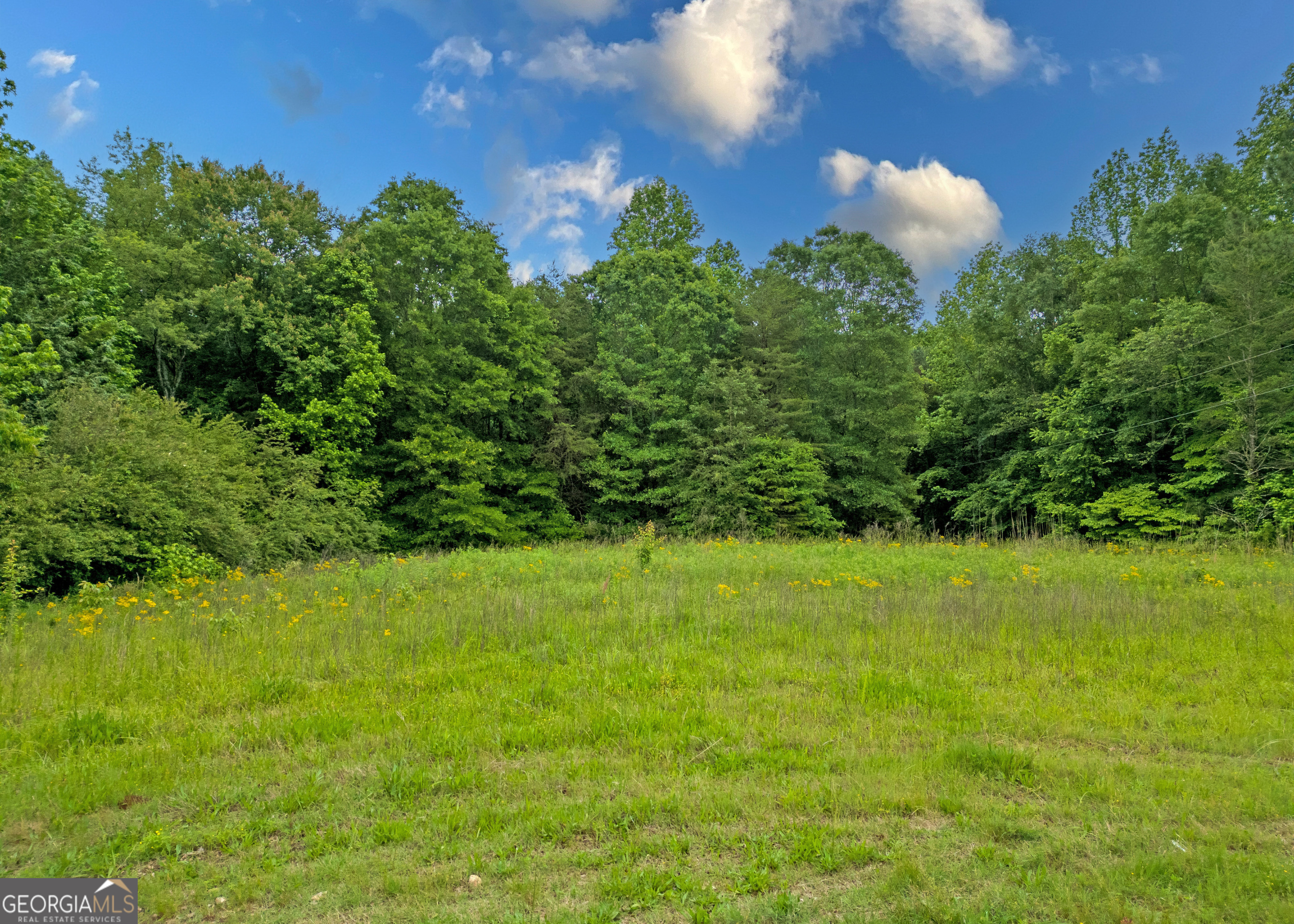 464 Deer Meadows Estates Road Carnesville, GA 30521 - Photo 1 of 1