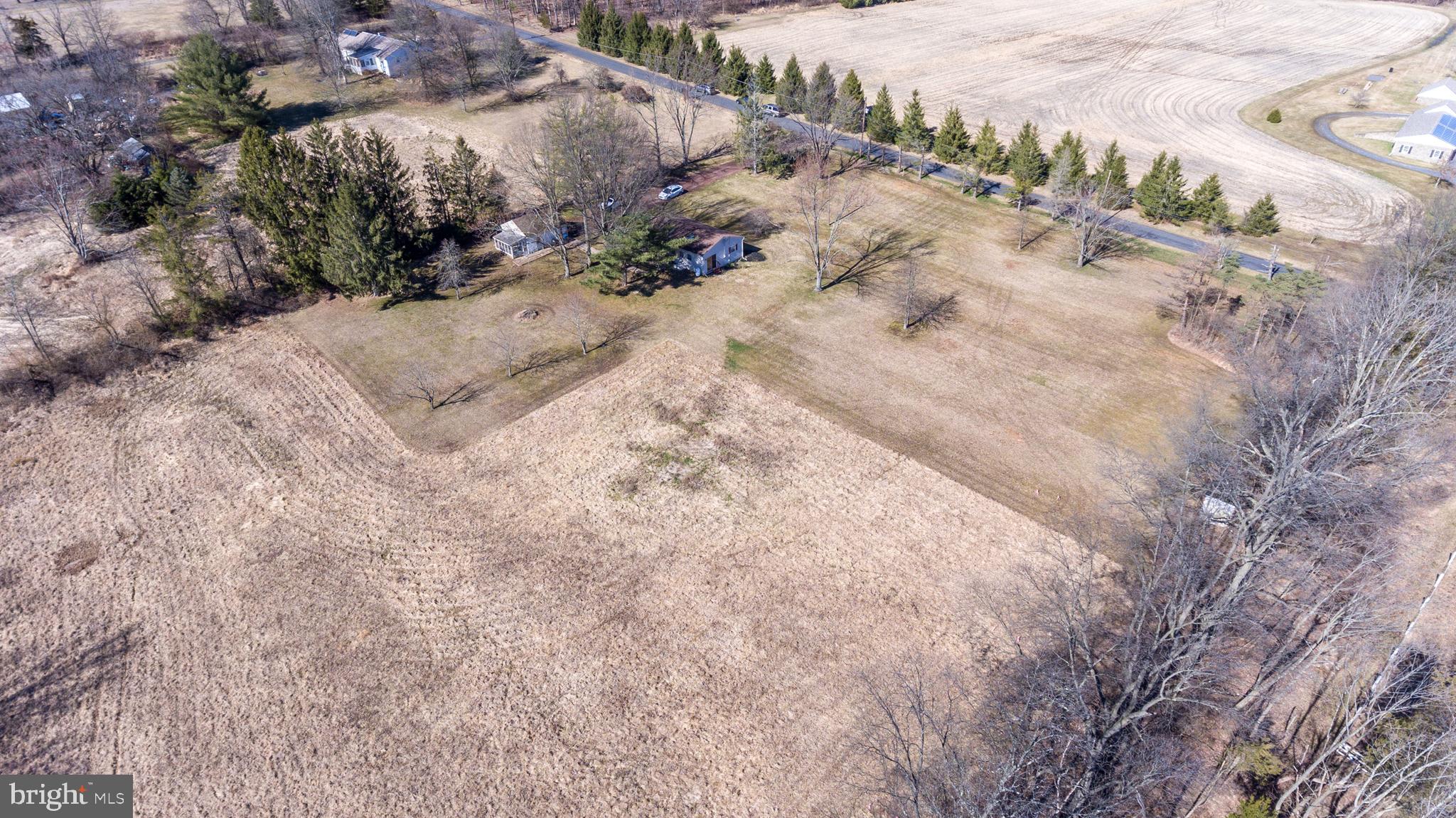 1306 Sylvan Road Perkasie, PA 18944 - Photo 44 of 47 a view of a dry yard with trees