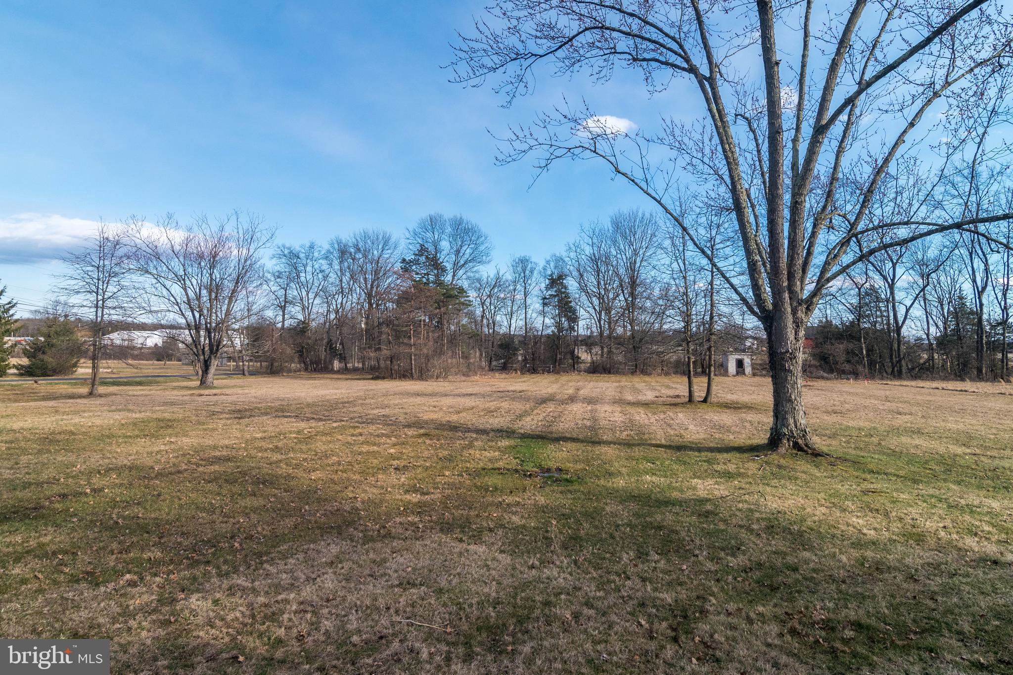 1306 Sylvan Road Perkasie, PA 18944 - Photo 6 of 47 a view of dirt yard with trees